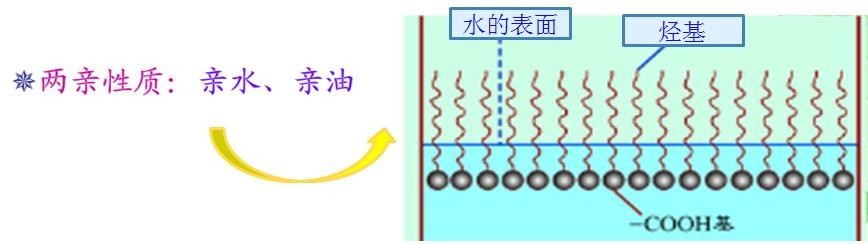 <a href='http://www.r5143.com/product/product-0001,0011,0018.shtml' class='keys' title='點擊查看關于潤濕劑的相關信息' target='_blank'>潤濕劑</a>