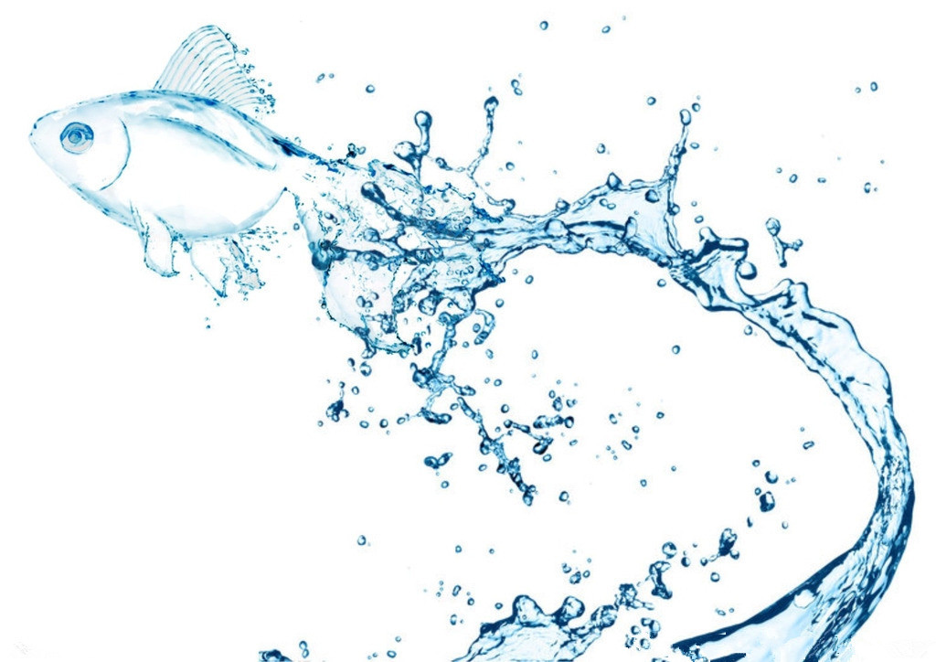 基材潤濕劑，迪高基材潤濕劑，涂料基材潤濕劑